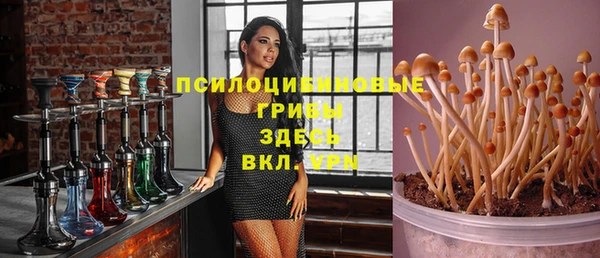 apvp Абаза