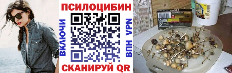 маркетплейс формула  Лесозаводск  Псилоцибиновые грибы Psilocybe 